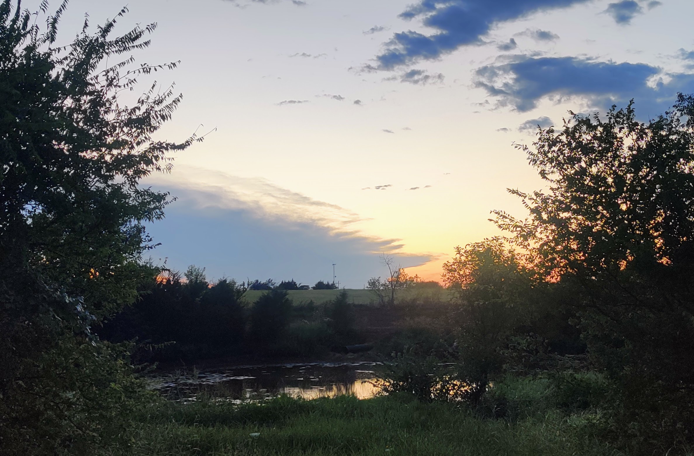 sunset over a pond