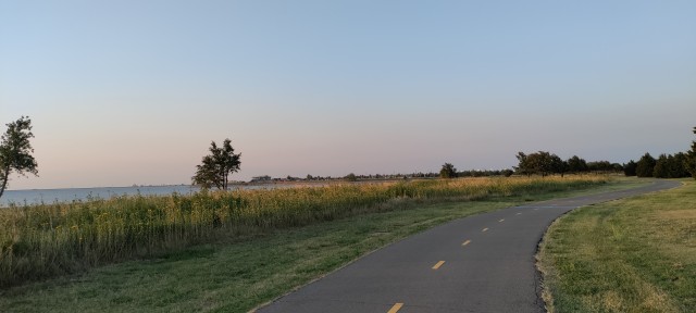 sunflowers in the foreground by Lake Hefner trail, water and sunset in background