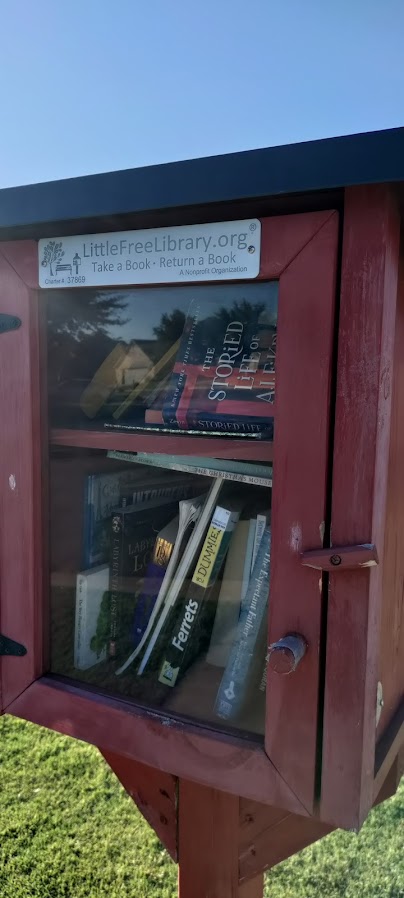 picture of a LFL (Little Free Library)