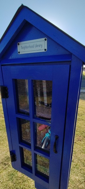 picture of a LFL (LIttle Free Library)