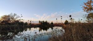 Photo of Montague-Alhambra Pond